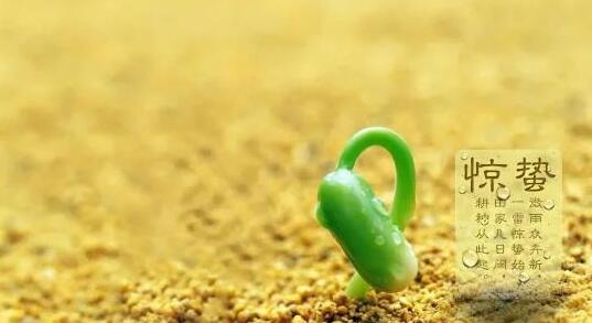 【山東桓藝數控】驚蟄節氣丨二十四節氣驚蟄將至，春雷響，萬物長