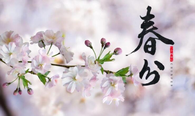 【山東桓藝數控】春分 | 生活明朗，萬物可愛